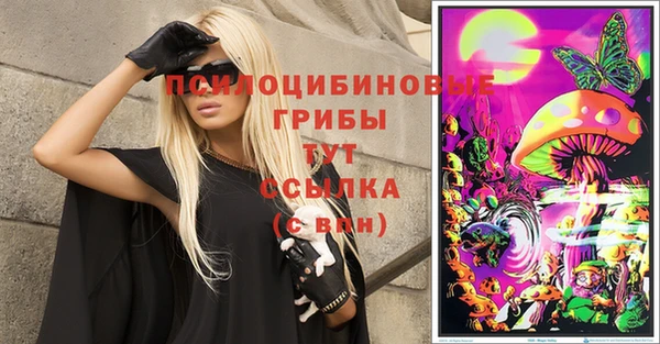 молекула духа Волосово