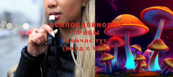 гидра Волоколамск