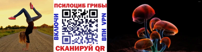 цены наркотик  Александровское  Псилоцибиновые грибы MAGIC MUSHROOMS 